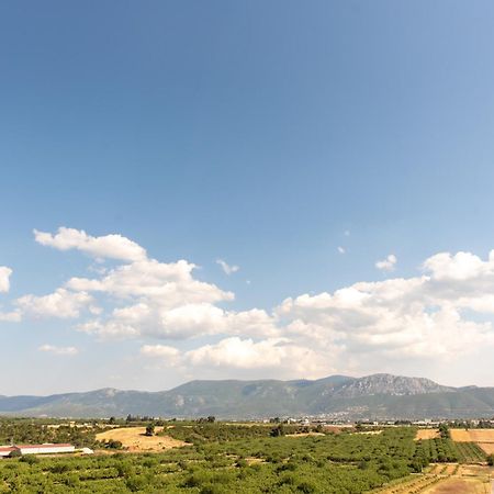 Bukovo Apartment Oinofyta Εξωτερικό φωτογραφία