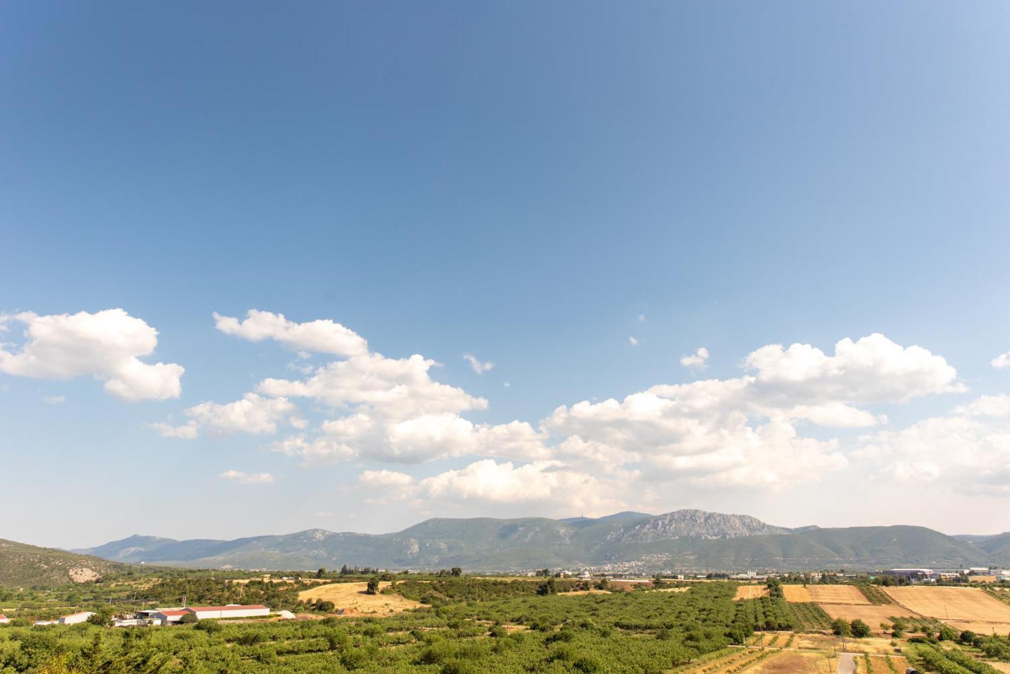 Bukovo Apartment Oinofyta Εξωτερικό φωτογραφία
